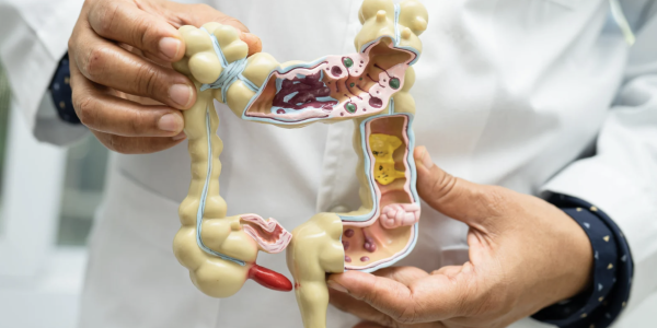 Screenshot 2025-06-06 at 7.48.28 AM